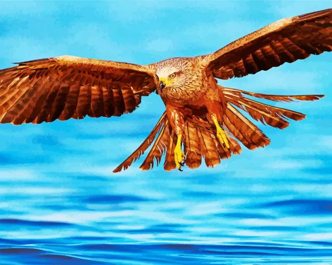 Black Kite flying over sea Diamond With Numbers Black Kite Flying Over Sea Diamond Painting