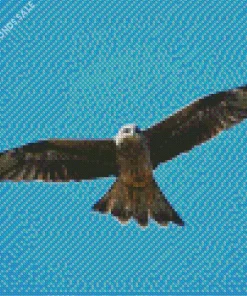 Black Kite In The Sky Diamond Painting