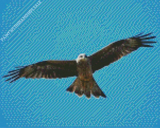 Black Kite In The Sky Diamond Painting