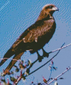 Black Kite On A Branch Diamond Painting