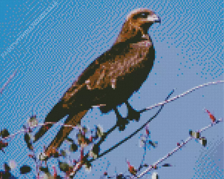 Black Kite on a branch Diamond Paintings Black Kite On A Branch Diamond Painting