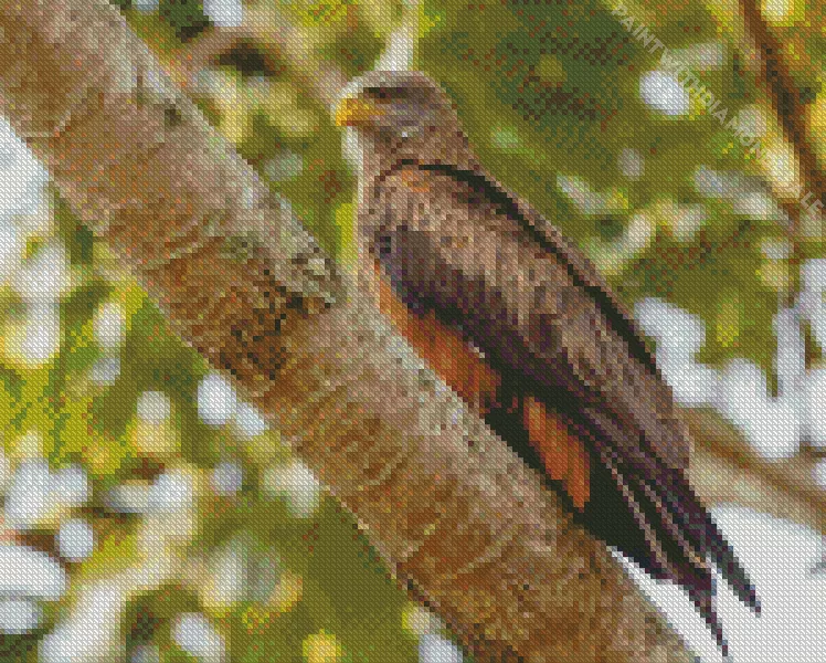 Black Kite on a tree Diamond Paintings Black Kite On A Tree Diamond Painting