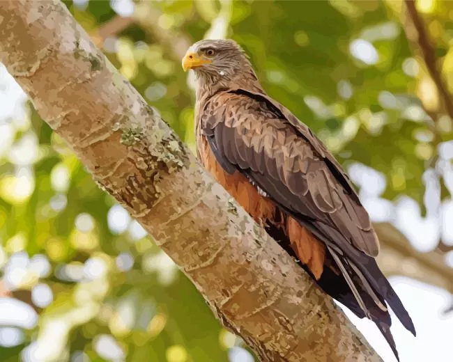 Black Kite on a tree Diamond With Numbers Black Kite On A Tree Diamond Painting