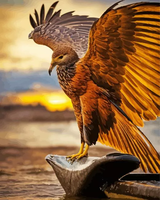 Black Kite wings Diamond With Numbers Black Kite wings Diamond Painting