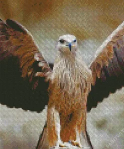 Black Kite With Big Wings Diamond Painting