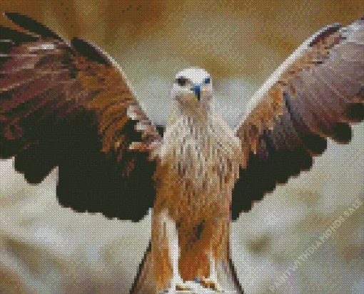 Black Kite With Big Wings Diamond Painting