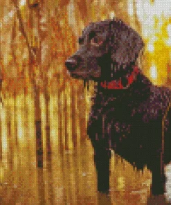 Boykin Spaniel Diamond Painting