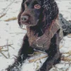 Boykin Spaniel In Snow Diamond Painting