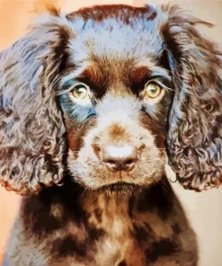 Boykin Spaniel Puppy Diamond Painting