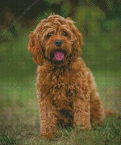 Brown Cockapoodle Diamond Painting