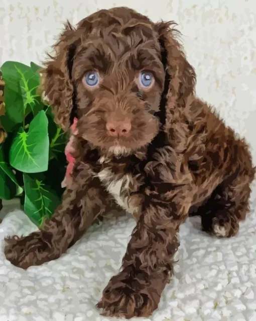 Brown Cockapoo Diamond Painting