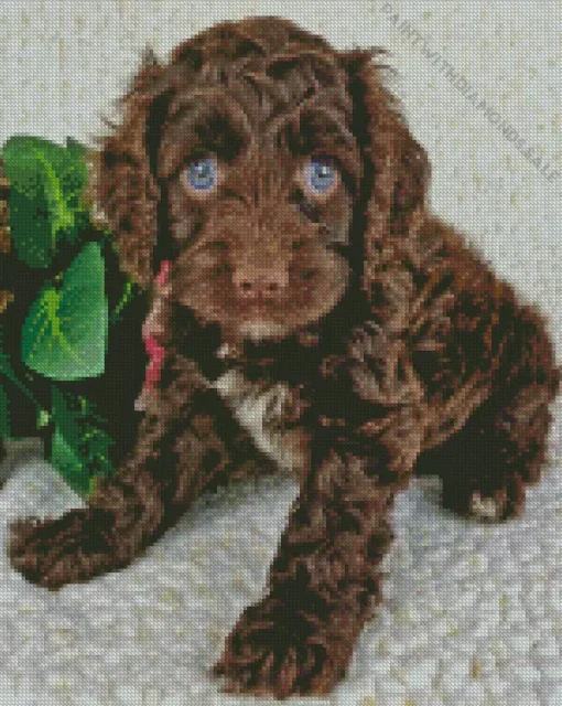 Brown Cockapoo Diamond Paintings