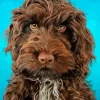 Brown Cockapoo Puppy Diamond Painting