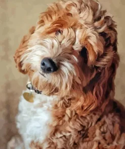 Cockapoodle Dog Diamond Painting