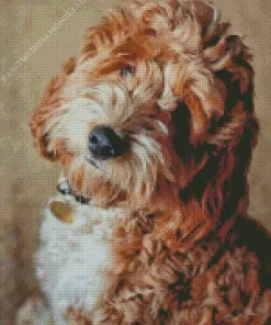 Cockapoodle Dog Diamond Painting