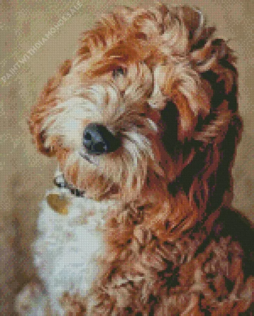 Cockapoodle Dog Diamond Painting