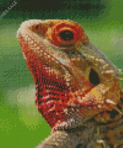 Pogona Lizard Art Diamond Painting