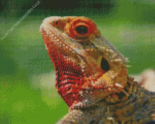 Pogona Lizard Art Diamond Painting