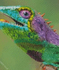 Colorful Bearded Dragon Diamond Painting