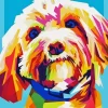 Colorful Cockapoo Diamond Painting