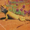 Desert Bearded Dragon Diamond Painting