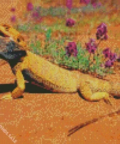 Desert Bearded Dragon Diamond Painting