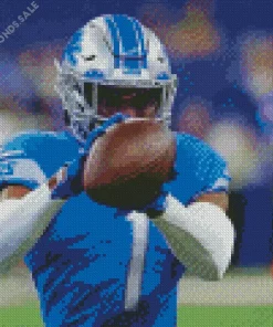 Detroit Lions Football Team Diamond Painting