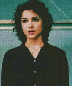 Dinah Madani In The Punisher Diamond Painting