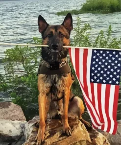 Dog Holding American Flag Diamond Paintings