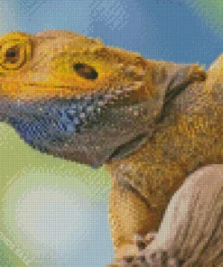 Inland Bearded Dragon Diamond Painting