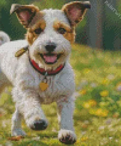 Jack Russell Running Diamond Painting