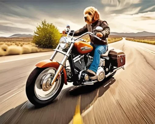 Labradoodle On harley davidson Diamond Paints