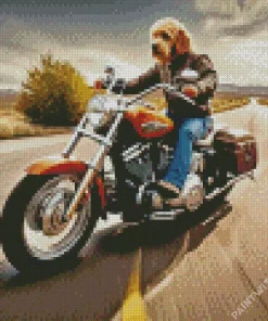 Labradoodle On harley davidson Diamond With Numbers