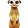 Meerkat Animal Diamond Painting