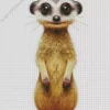 Meerkat Animal Diamond Painting