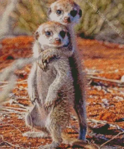 Meerkat Couple Diamond Painting