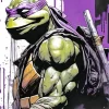 Ninja Turtles Donatello Diamond Paints