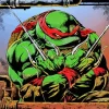 Ninja Turtles Raphael Diamond Paints