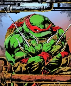 Ninja Turtles Raphael Diamond Paints