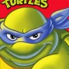 Ninja Turtles Animation Poster Diamond Painting