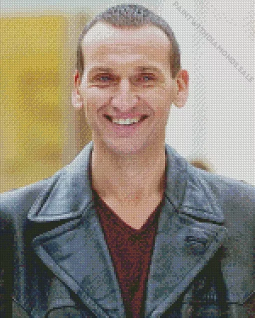 Ninth Doctor Character Diamond Painting