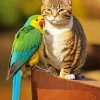 Parakeet And Cat Diamond Painting