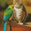 Parakeet And Cat Diamond Painting