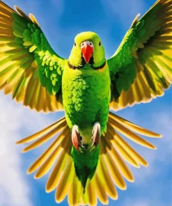 Parakeet With Big Wings Diamond Painting