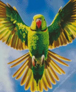 Parakeet With Big Wings Diamond Painting