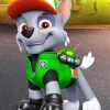 Paw Patrol Rocky Diamond By Numbers