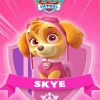 Paw Patrol Skye Diamond By Numbers