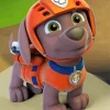 Paw Patrol Zuma Diamond By Numbers