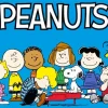 Peanuts Poster Diamond Painting