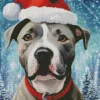 Pit Bull In Snow Diamond Painting